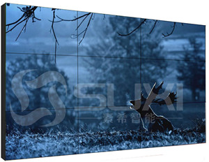 上海素希智能科技有限公司員工郊游活動(dòng)！