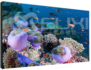 整個液晶拼接屏系統需要哪些外接設備呢？