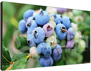 上海液晶拼接屏價格不斷壓低的原因有哪些呢？